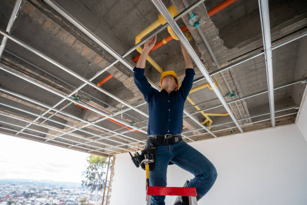 Best Plumbing Inspection Services  in Hyattsville, MD